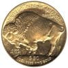 1 oz American Buffalo Gold - 2010