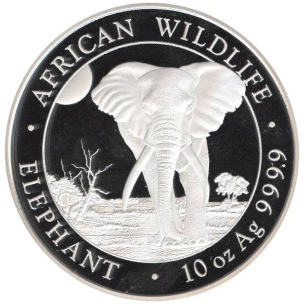 251116214626_1759018878 10 oz Somalia Elefant Silber - 2025 - 19% MwST