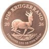 260124173157_432744205 1/10 oz Krügerrand Gold - 2026